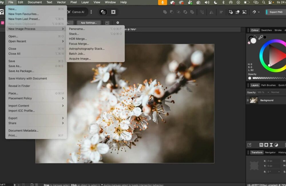 optimera-dina-bilder-blogg