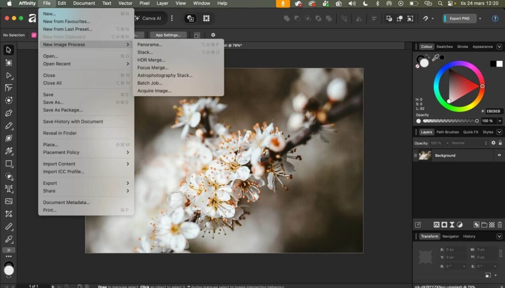 optimera-dina-bilder-blogg