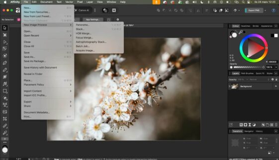 optimera-dina-bilder-blogg