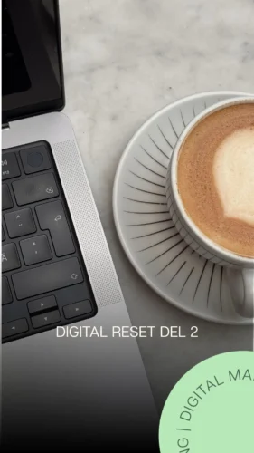 digital-reset-2